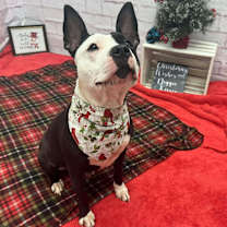 Thumbnail photo of Ms. Kelly #3