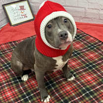 Thumbnail photo of Flare #3