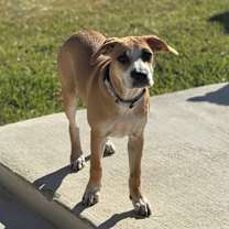 Thumbnail photo of Jade #1