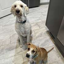 Thumbnail photo of Jade #4