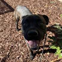 Thumbnail photo of Shay Natalia Gee #2