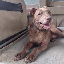 Thumbnail photo of Froto #2