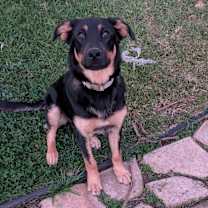 Thumbnail photo of Legend #3