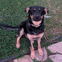 Thumbnail photo of Legend #4