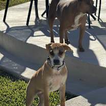 Thumbnail photo of Jade #2