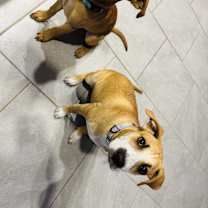 Thumbnail photo of Jade #3