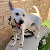 Thumbnail photo of Needs hero by DEC 23 #1