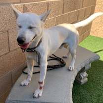 Thumbnail photo of Needs hero by DEC 23 #2