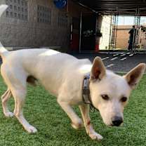 Thumbnail photo of Needs hero by DEC 23 #3