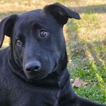 Thumbnail photo of Fallon #2