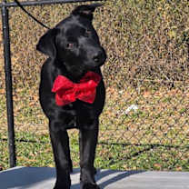 Thumbnail photo of Fallon #4