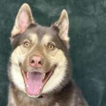 Thumbnail photo of Luka #2