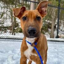 Thumbnail photo of Jack #1