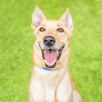 Thumbnail photo of OSO #1