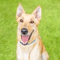 Thumbnail photo of OSO #3