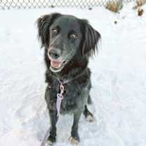 Thumbnail photo of Cosmo #1