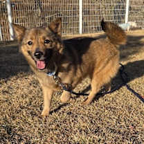 Thumbnail photo of Mongsil #1