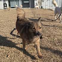 Thumbnail photo of Mongsil #2