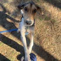 Thumbnail photo of Skipper #2