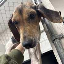 Thumbnail photo of Skipper #4