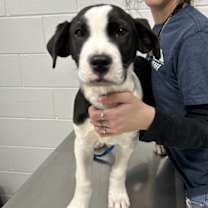 Thumbnail photo of Wiggles #2