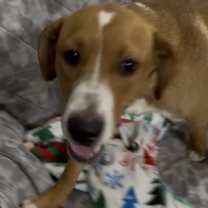 Thumbnail photo of Kyle #1