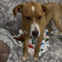 Thumbnail photo of Kyle #2