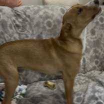 Thumbnail photo of Kyle #3