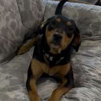 Thumbnail photo of Kylie #4