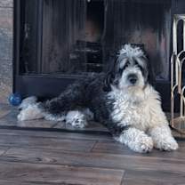 Thumbnail photo of Bolt #2