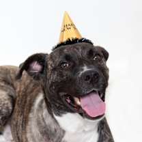 Thumbnail photo of Pepsi #3