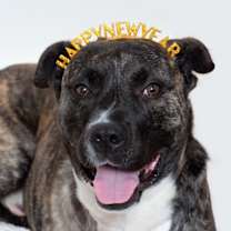 Thumbnail photo of Pepsi #4