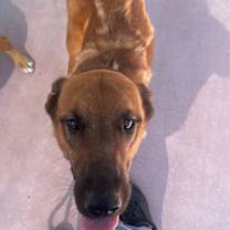 Thumbnail photo of Stella #4