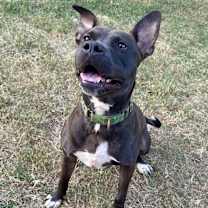 Thumbnail photo of TINA #4