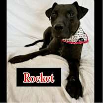 Thumbnail photo of ROCKET #2