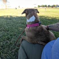 Thumbnail photo of CARRIE #4