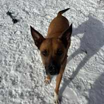 Thumbnail photo of Madison #1