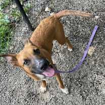 Thumbnail photo of Madison #2