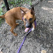 Thumbnail photo of Madison #3