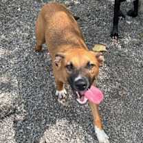 Thumbnail photo of Madison #4