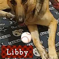 Thumbnail photo of Libby #3