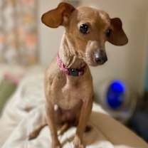 Thumbnail photo of Esther #2