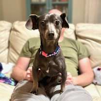 Thumbnail photo of Delilah #3