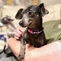 Thumbnail photo of Delilah #4