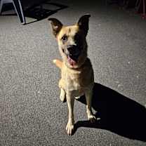 Thumbnail photo of Preston #3