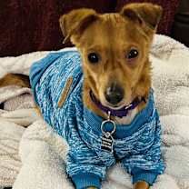 Thumbnail photo of Peekaboo #1