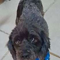 Thumbnail photo of Karl #2