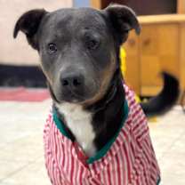 Thumbnail photo of Joseph #1