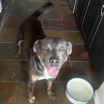 Thumbnail photo of Joseph #2