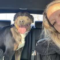 Thumbnail photo of Joseph #3